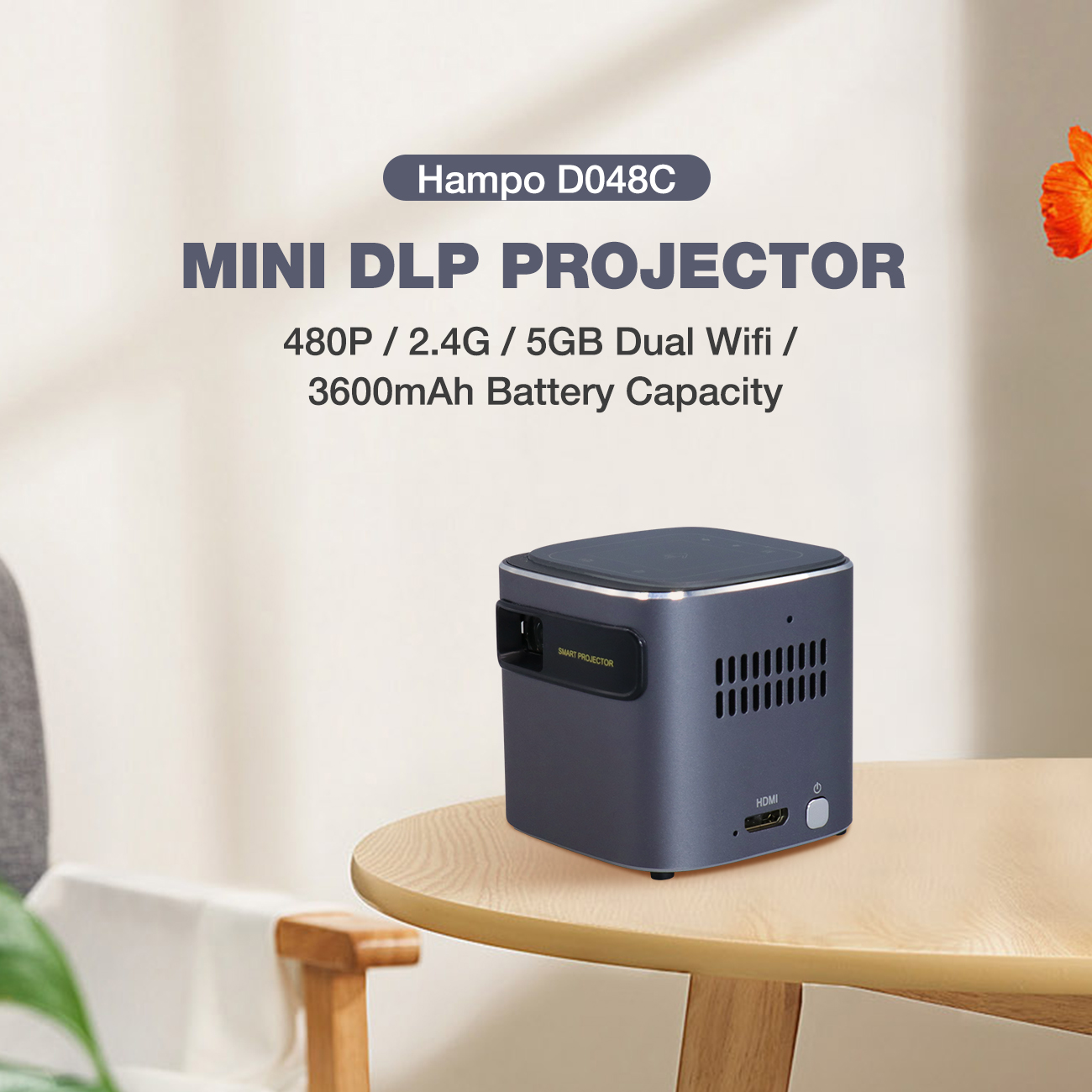 D048C DLP Projector